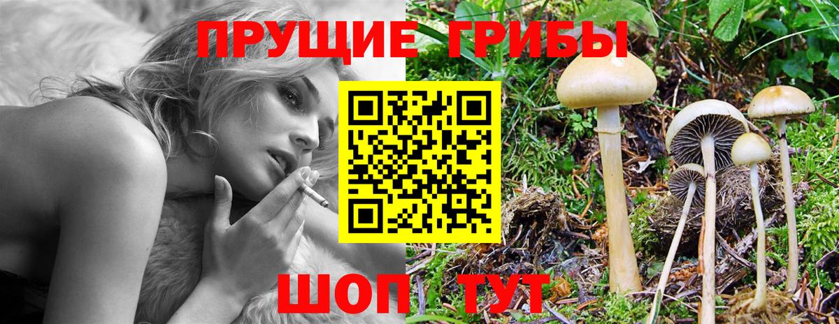 Псилоцибиновые грибы мицелий Чапаевск